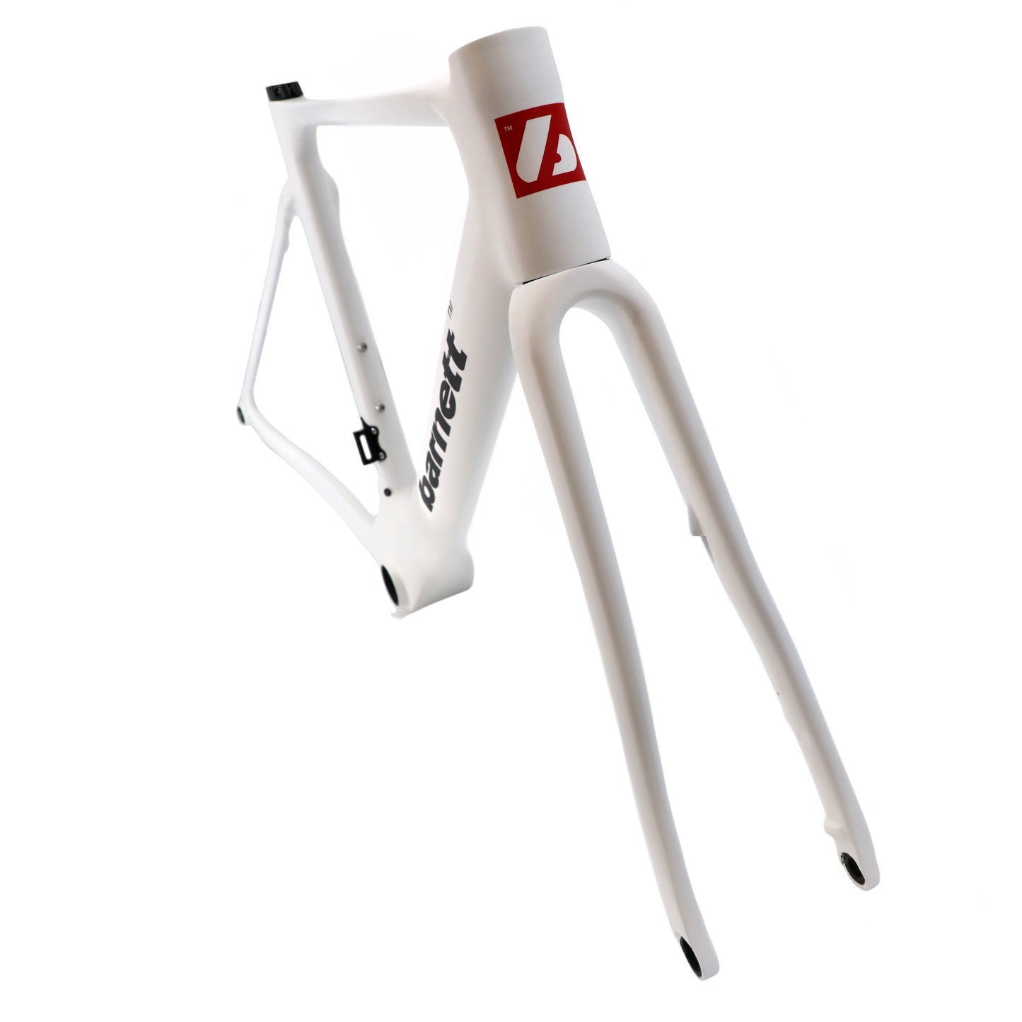 CRB54N Cadre de vélo Disque en carbone, Blanc